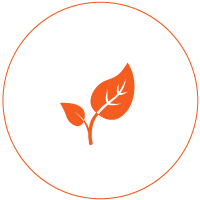 green-cleaning-icon-janitorial-cleaning-services-waterloo-cambridge-guelph-milton-kitchener-green-cleaning